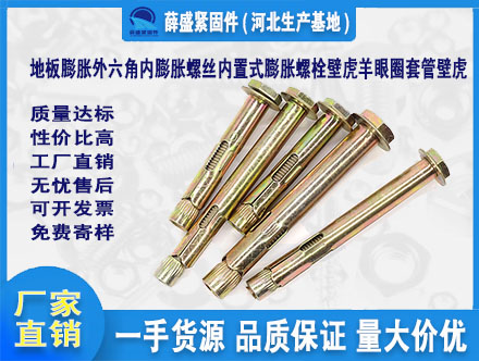 地板膨脹外六角內(nèi)膨脹螺絲內(nèi)置式膨脹螺栓壁虎羊眼圈套管壁虎